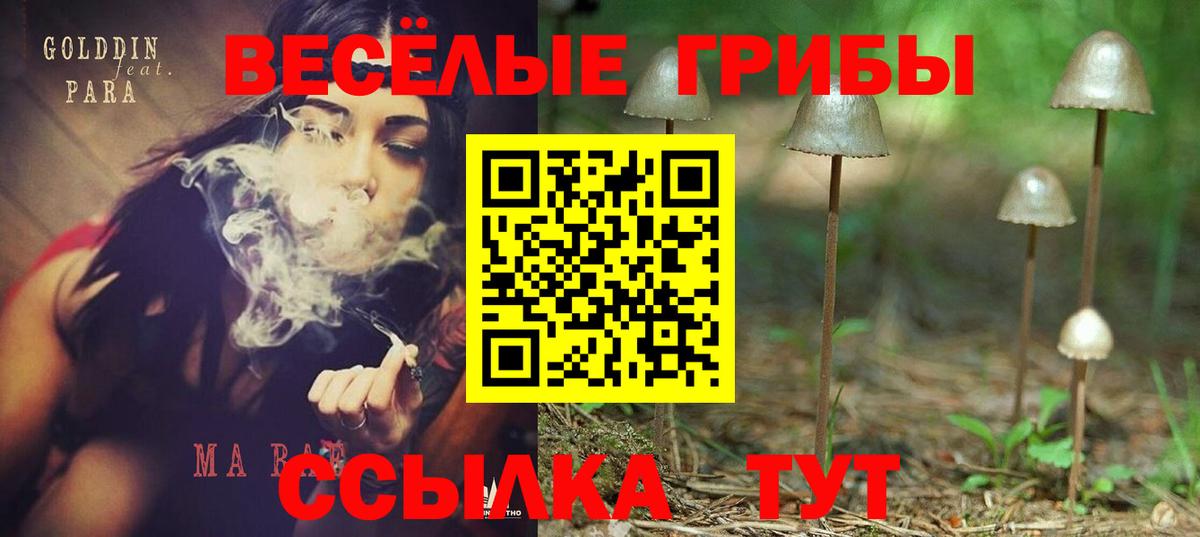 Псилоцибиновые грибы MAGIC MUSHROOMS  Вход с VPN  Углич 