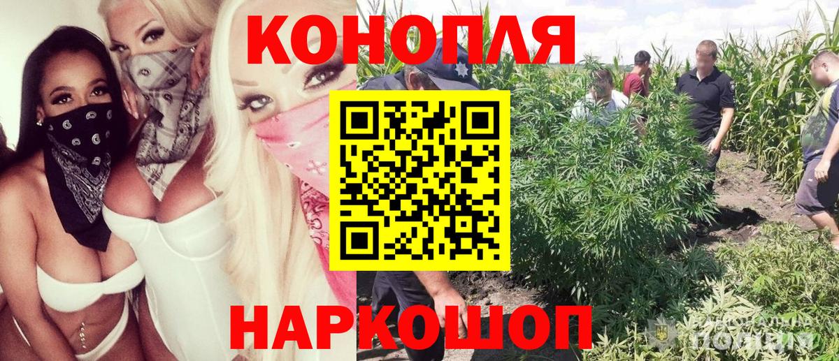 Углич  МАРИХУАНА тримм  Каннабис сатива  Каннабис VHQ  Вход с VPN 